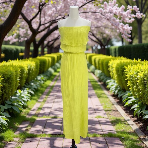 Michael Stars Strapless Maxi Dress Small Resort Vacation Beachy Boho Resort - Picture 1 of 10